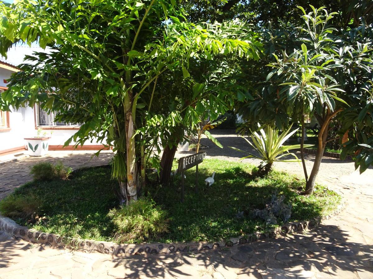 White Rose Lodge Livingstone Bagian luar foto
