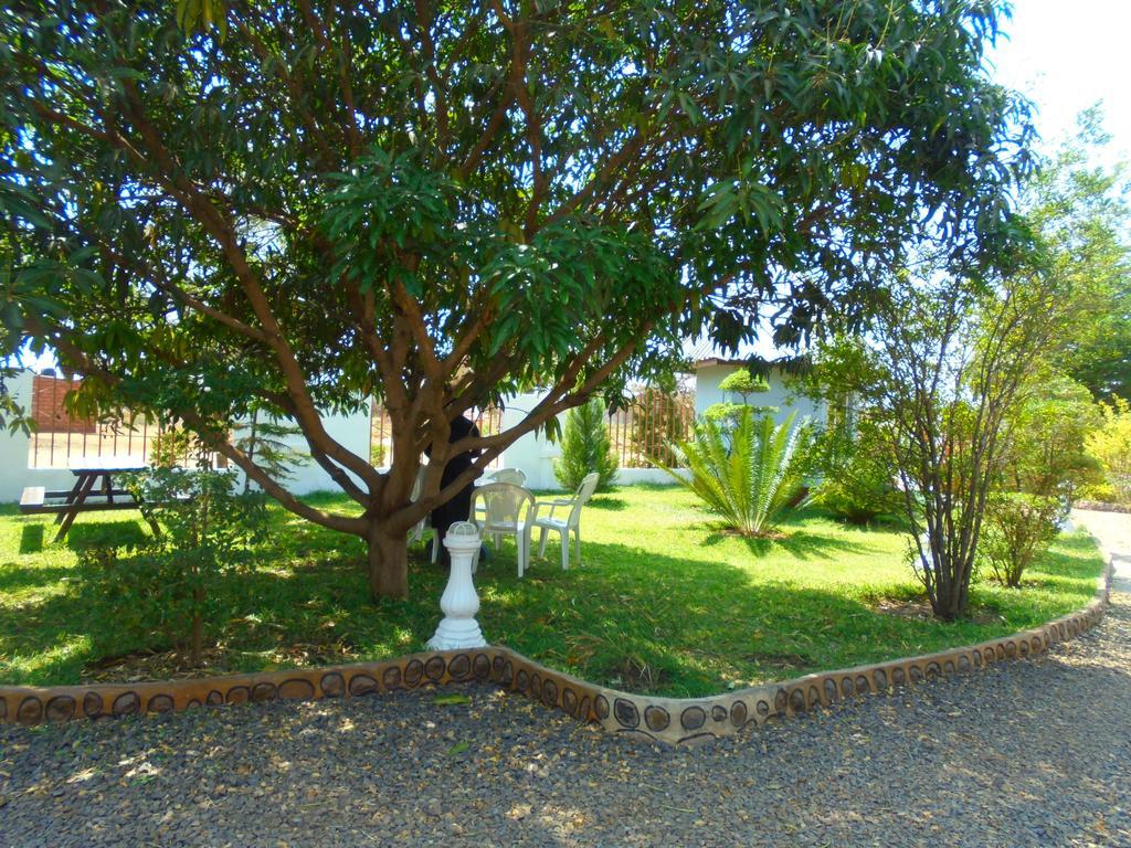 White Rose Lodge Livingstone Bagian luar foto
