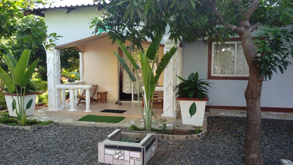 White Rose Lodge Livingstone Bagian luar foto